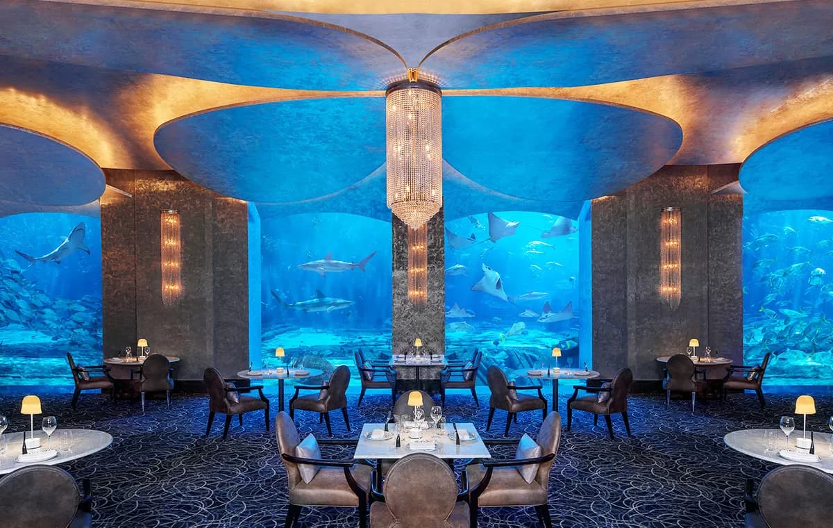 هتلهای زیستمحیطی زیر آب در دبی؛ جایی که رؤیاها از سطح دریا عبور میکنند